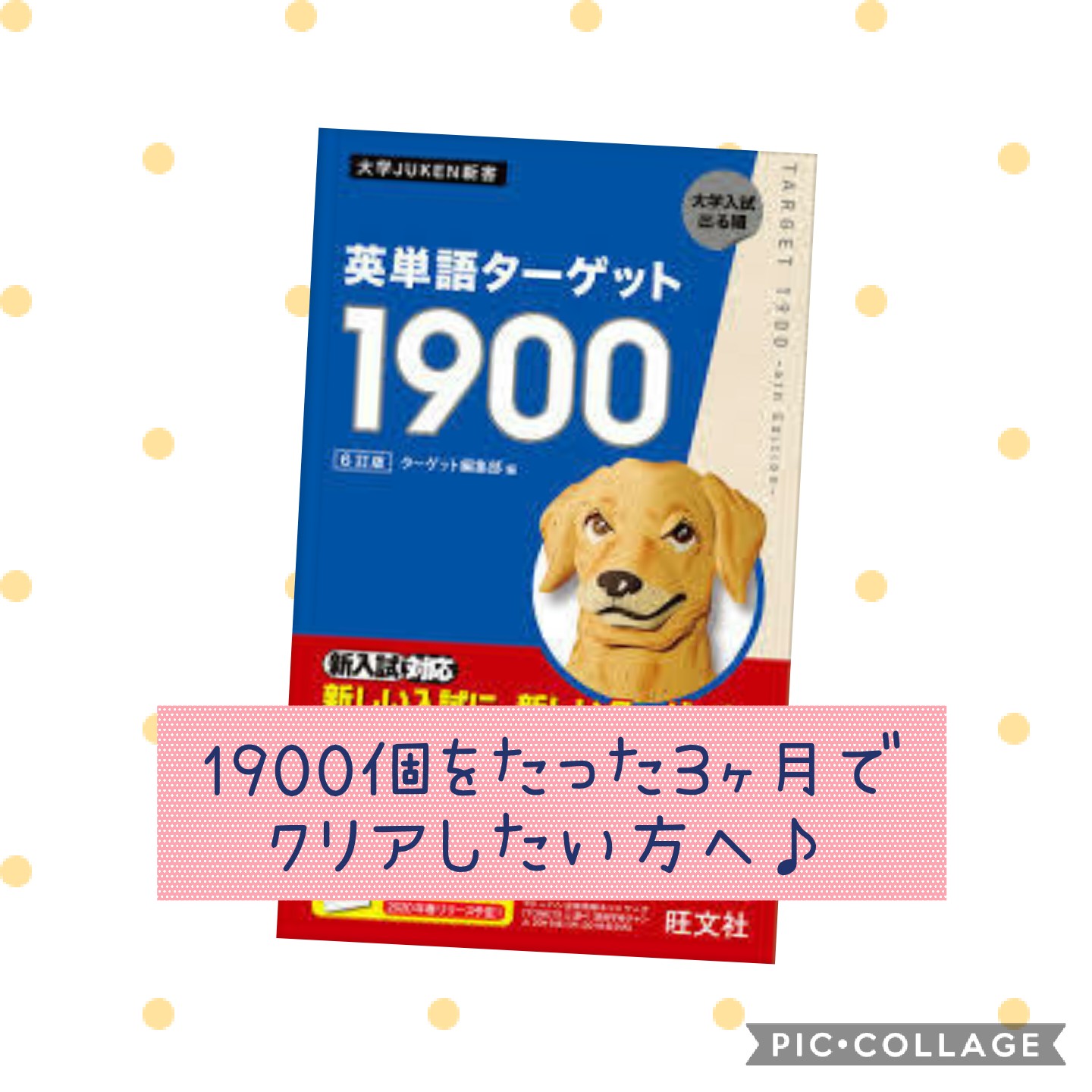 高校の英単語1900がたった3か月でクリアしたい方へ トライアングル個別学習塾